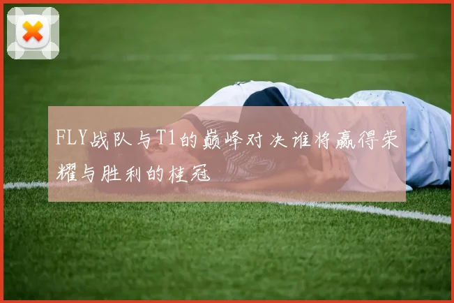 FLY战队与T1的巅峰对决谁将赢得荣耀与胜利的桂冠