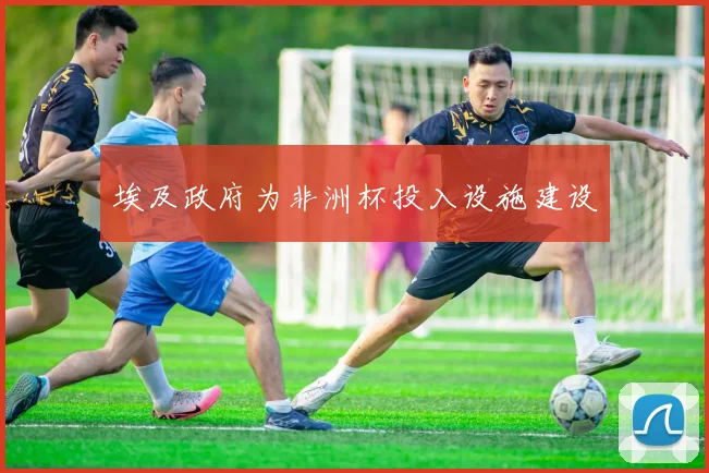 埃及政府为非洲杯投入设施建设