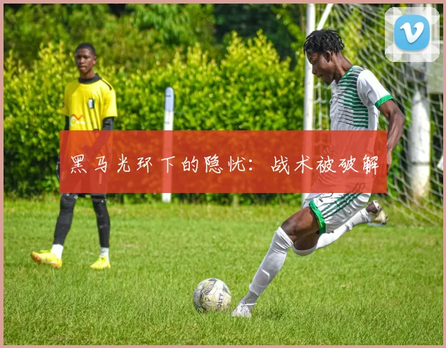 黑马光环下的隐忧：战术被破解