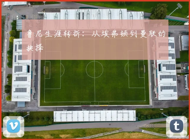 鲁尼生涯转折：从埃弗顿到曼联的抉择