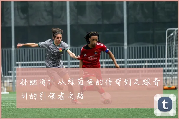 孙继海：从绿茵场的传奇到足球青训的引领者之路