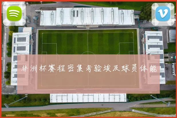 非洲杯赛程密集考验埃及球员体能