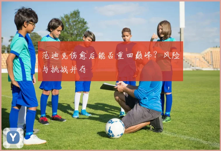 范迪克伤愈后能否重回巅峰？风险与挑战并存