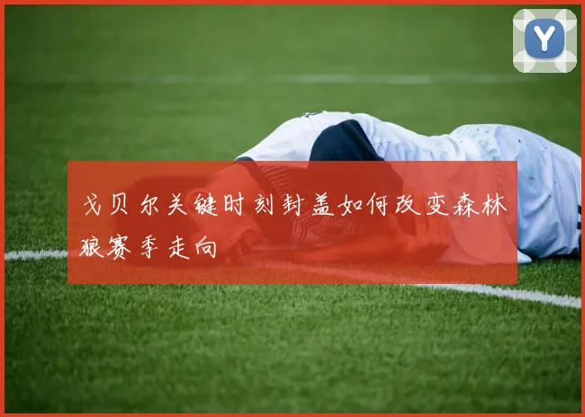 戈贝尔关键时刻封盖如何改变森林狼赛季走向