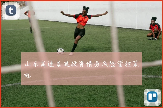 山东高速基建投资债务风险管控策略