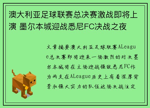 澳大利亚足球联赛总决赛激战即将上演 墨尔本城迎战悉尼FC决战之夜