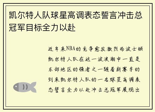 凯尔特人队球星高调表态誓言冲击总冠军目标全力以赴