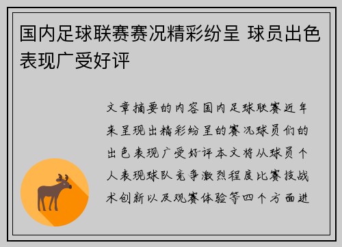 国内足球联赛赛况精彩纷呈 球员出色表现广受好评