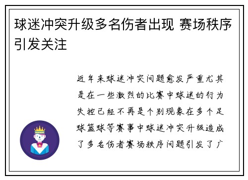 球迷冲突升级多名伤者出现 赛场秩序引发关注